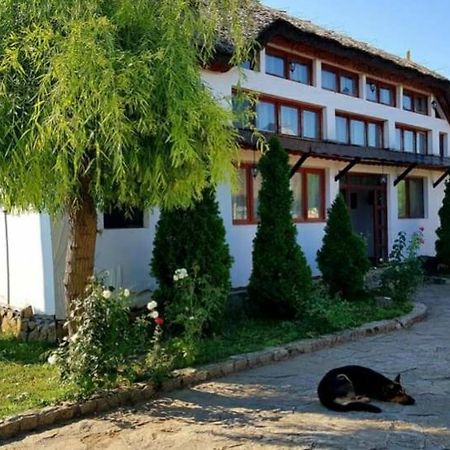 Casa Cu Flori Murighiol Dış mekan fotoğraf