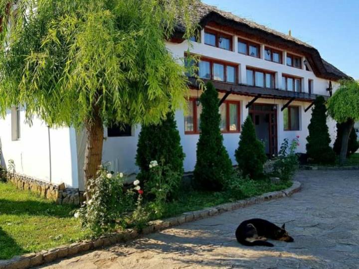 Casa Cu Flori Murighiol Dış mekan fotoğraf