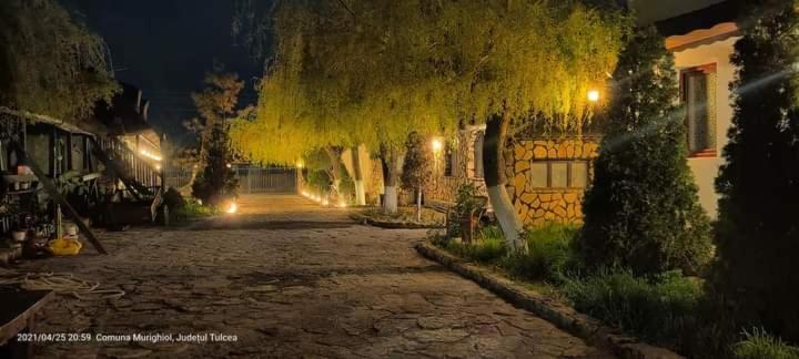 Casa Cu Flori Murighiol Dış mekan fotoğraf